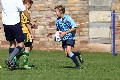 MB_CC_Rugby_Fest_080913_103