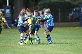 MB_CC_Rugby_Fest_080913_119
