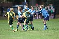 MB_CC_Rugby_Fest_080913_123