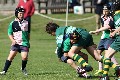 MB_CC_Rugby_Fest_080913_135