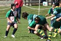 MB_CC_Rugby_Fest_080913_136
