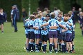 MB_CC_Rugby_Fest_080913_223