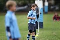 MB_CC_Rugby_Fest_080913_231