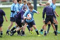 MB_CC_Rugby_Fest_080913_256