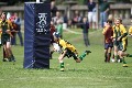 MB_CC_Rugby_Fest_080913_276