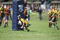 MB_CC_Rugby_Fest_080913_277