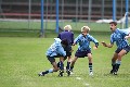 MB_CC_Rugby_Fest_080913_313