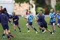 MB_CC_Rugby_Fest_080913_399