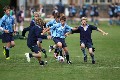MB_CC_Rugby_Fest_080913_402
