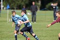 MB_CC_Rugby_Fest_080913_537