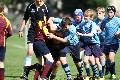 MB_CC_Rugby_Fest_080913_550