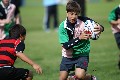 MB_CC_Rugby_Fest_080913_574