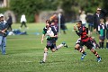 MB_CC_Rugby_Fest_080913_578