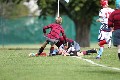 MB_CC_Rugby_Fest_080913_582