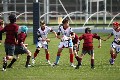 MB_CC_Rugby_Fest_080913_585