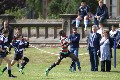 MB_CC_Rugby_Fest_080913_598
