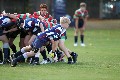 MB_CC_Rugby_Fest_080913_609