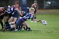 MB_CC_Rugby_Fest_080913_610