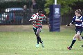 MB_CC_Rugby_Fest_080913_612