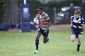 MB_CC_Rugby_Fest_080913_613