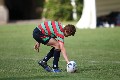 MB_CC_Rugby_Fest_080913_616