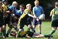 MB_CC_Rugby_Fest_080913_84