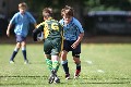 MB_CC_Rugby_Fest_080913_85