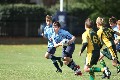MB_CC_Rugby_Fest_080913_88
