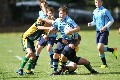 MB_CC_Rugby_Fest_080913_89